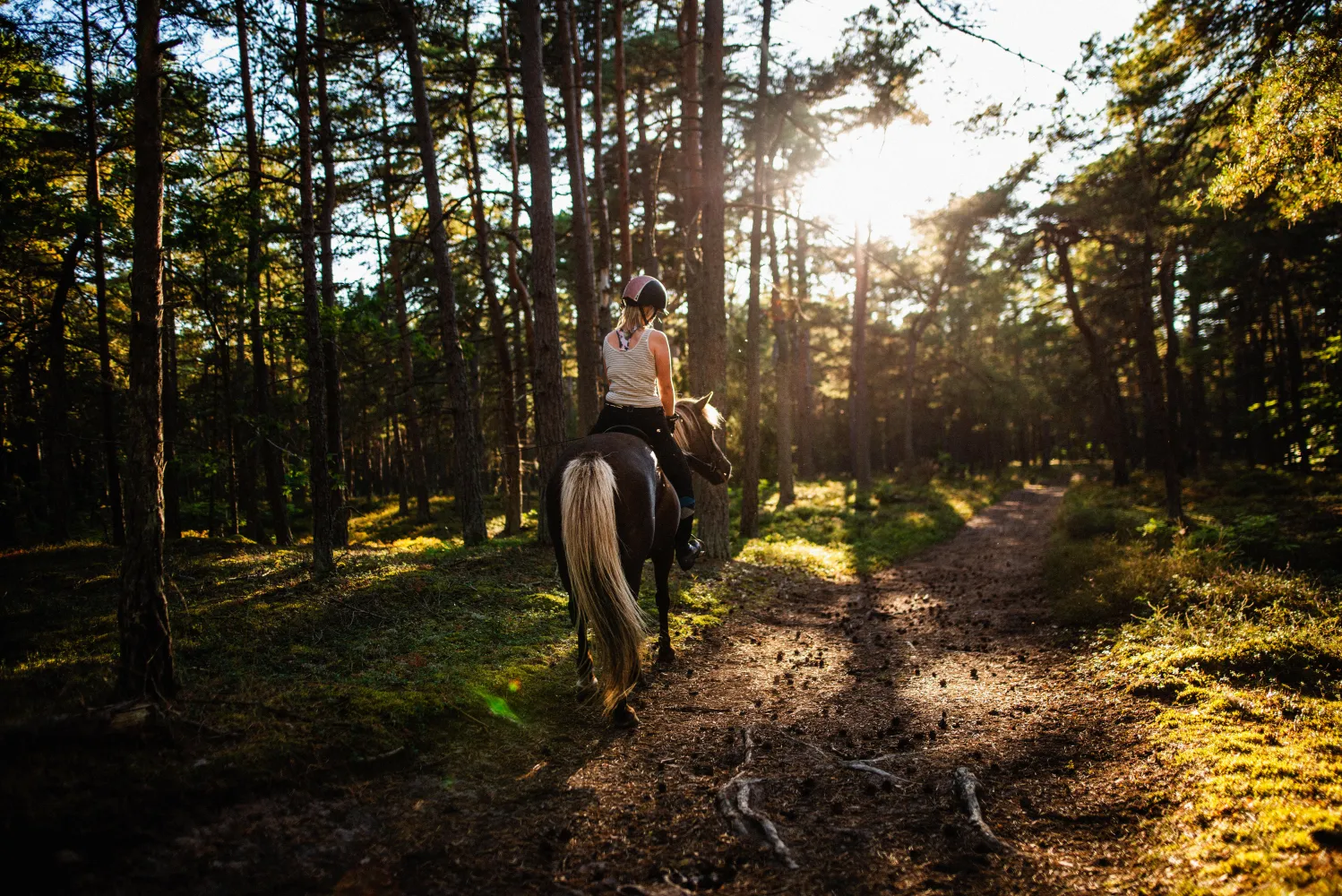 Ryttare på häst i skogen