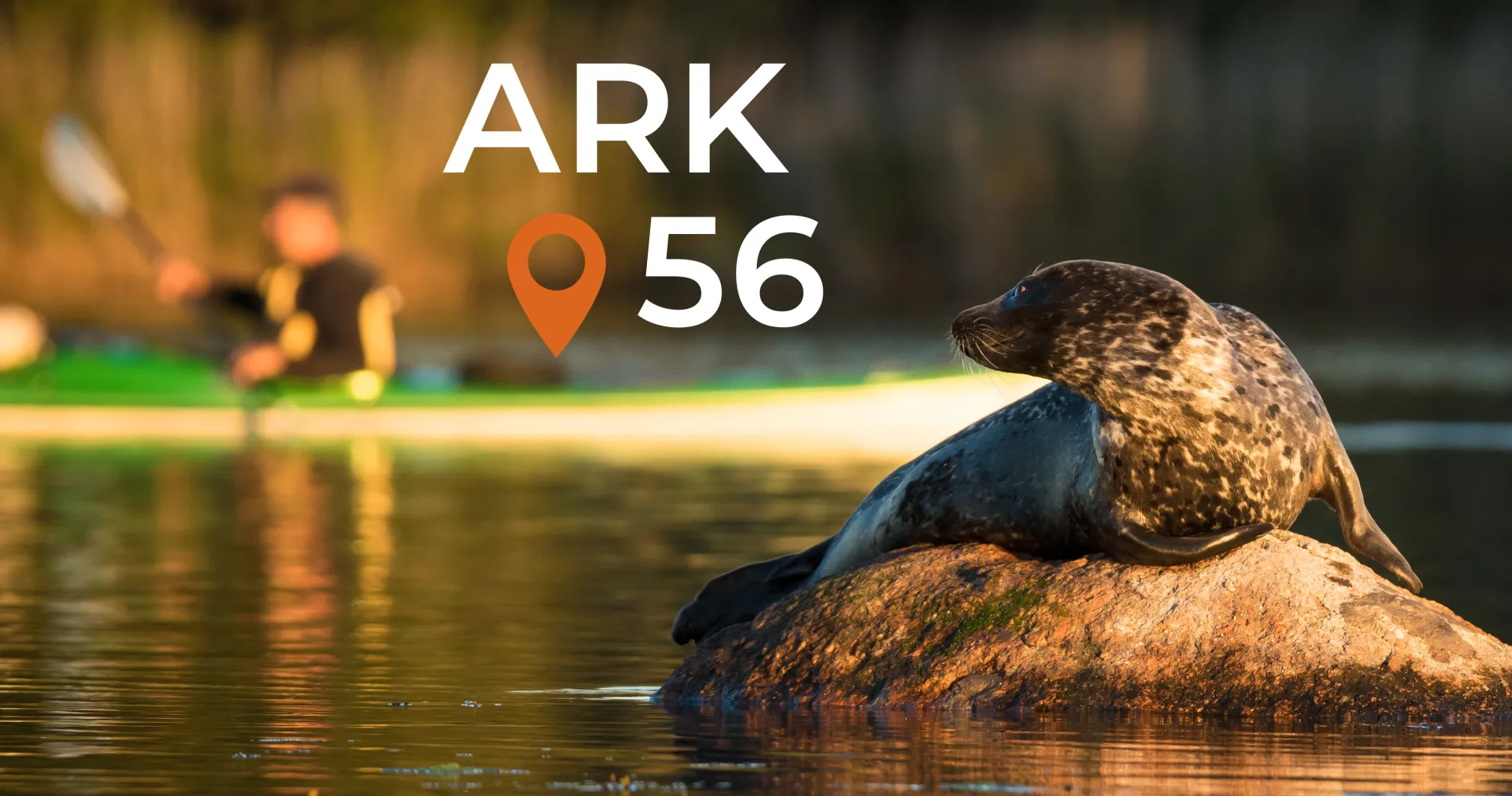 ark56 seal logo