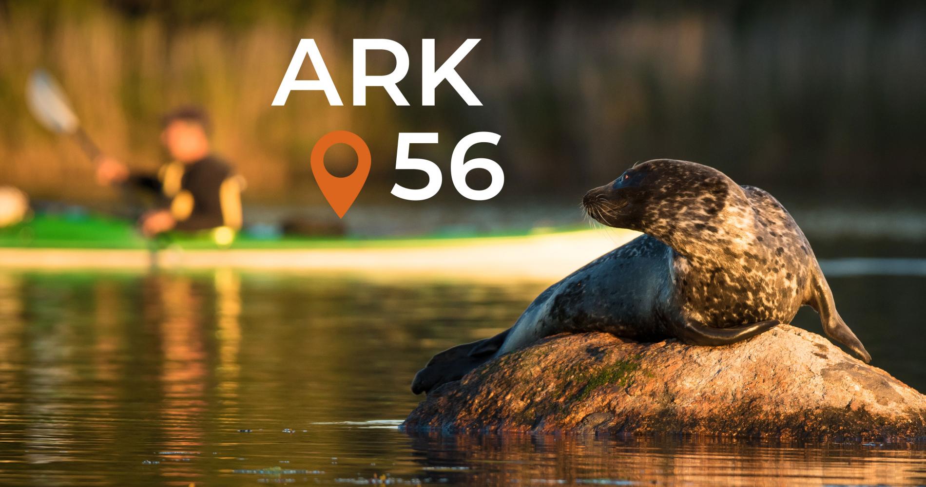ark56 seal logo