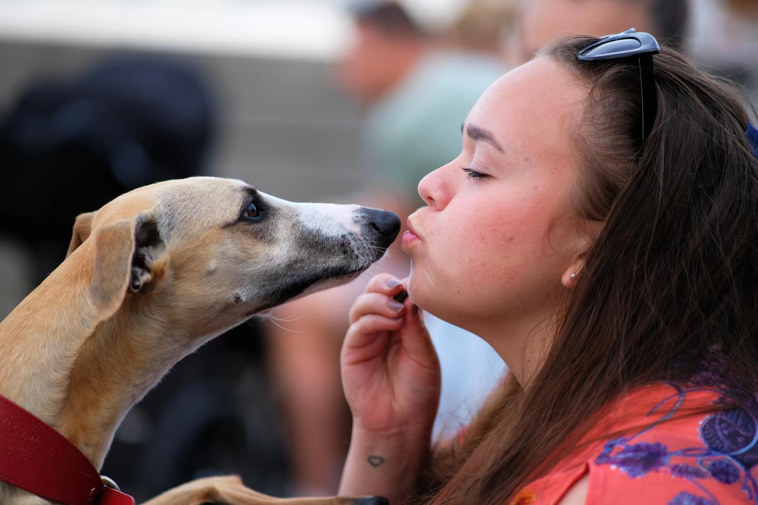 Kvinna pussar en hund