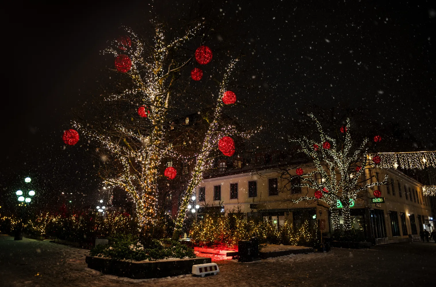 Tomteskogen på Klaipedaplatsen i Karlskrona