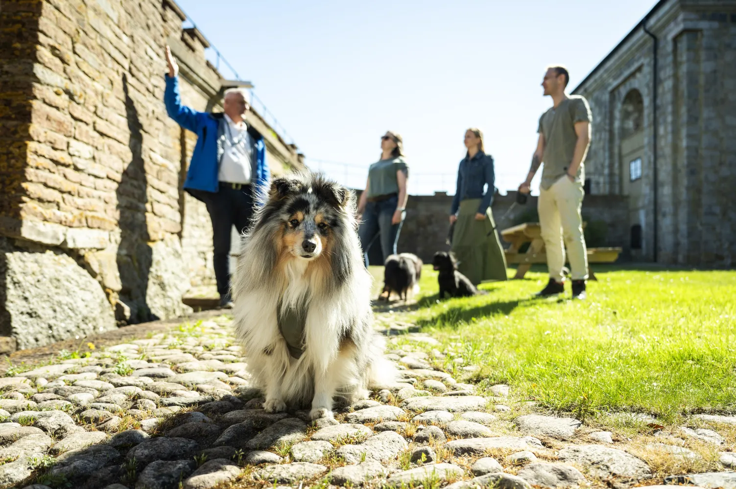 Guidade tur av Drottningskärs kastell med hund