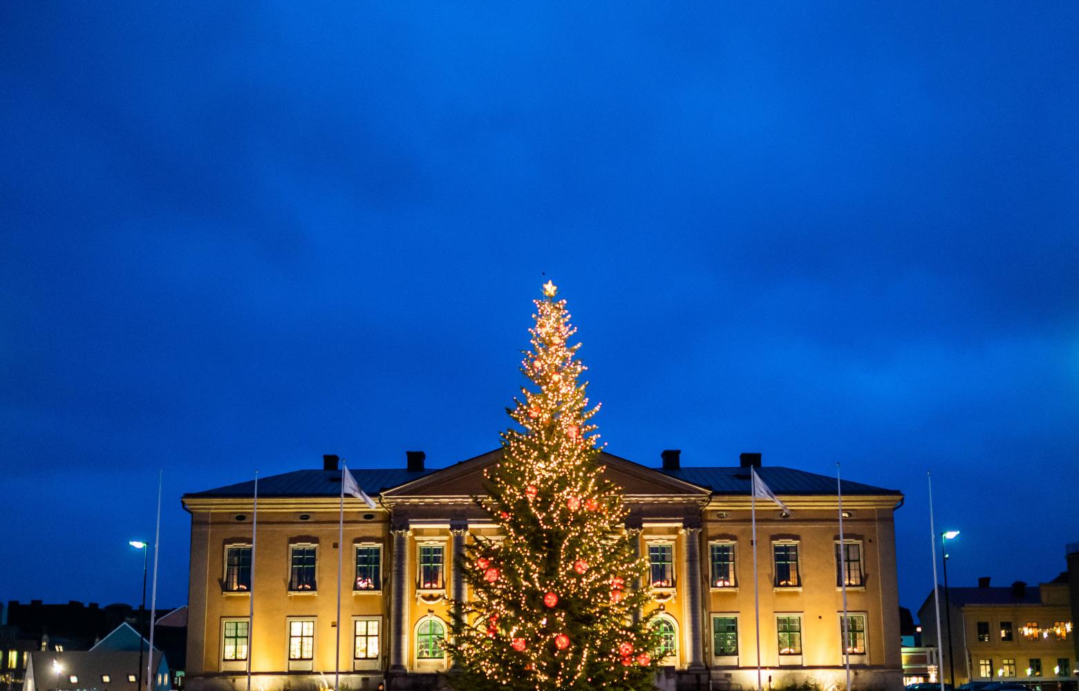Julgran på Stortorget och rådhuset