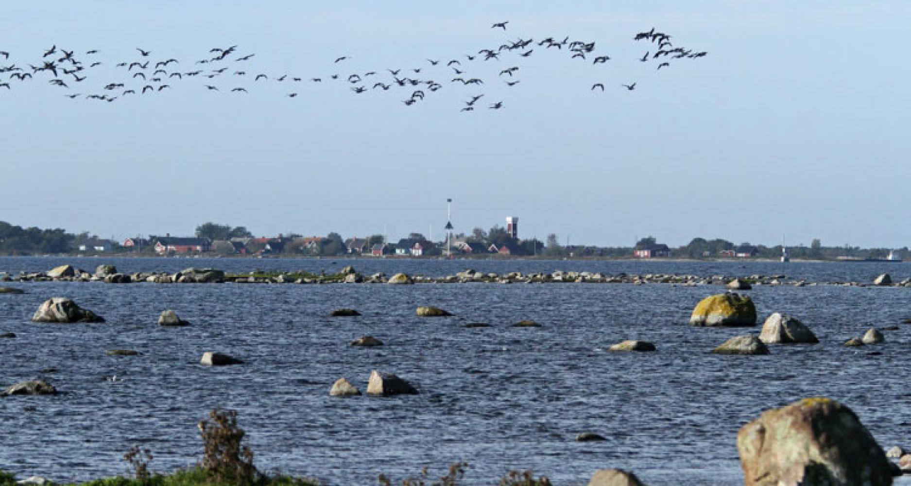 Torhamns udde med utsikt över havet och skärgården
