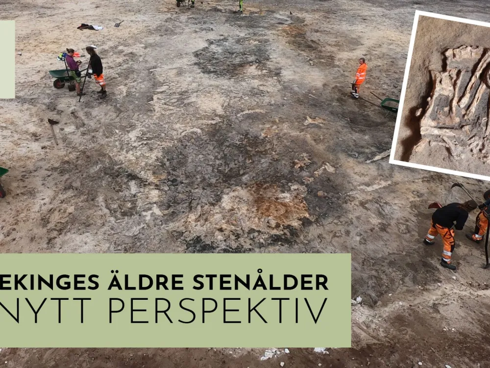 Tisdagsföredrag - Blekinges äldre stenålder i nytt perspektiv