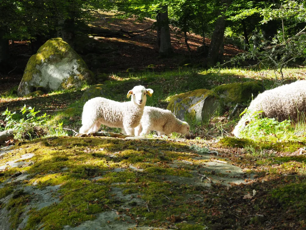 ARK56 – Guidad tur på Tromtö