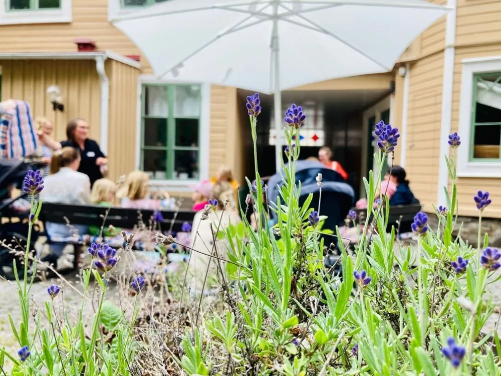 Sagor på bakgården