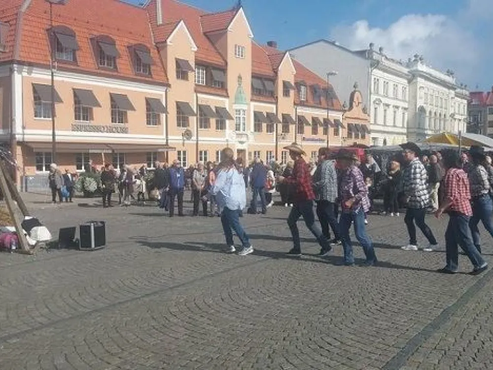 Dans i Wämöparken - Hamboringen