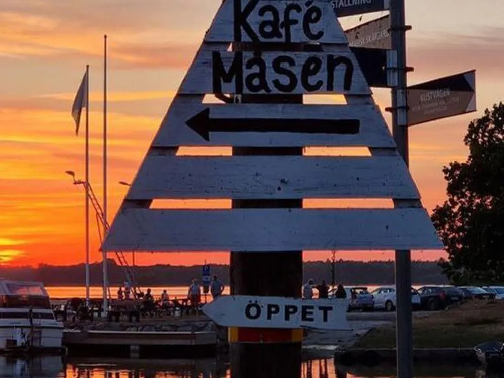 Live music at Måsen