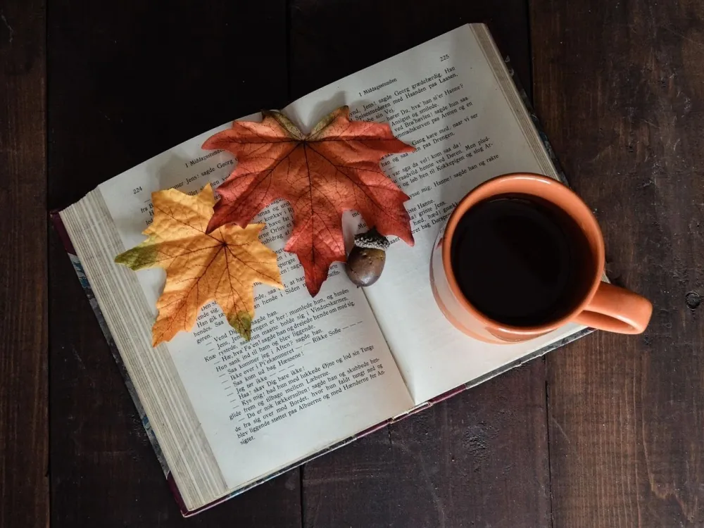 Bokcafé på Sturkö bibliotek