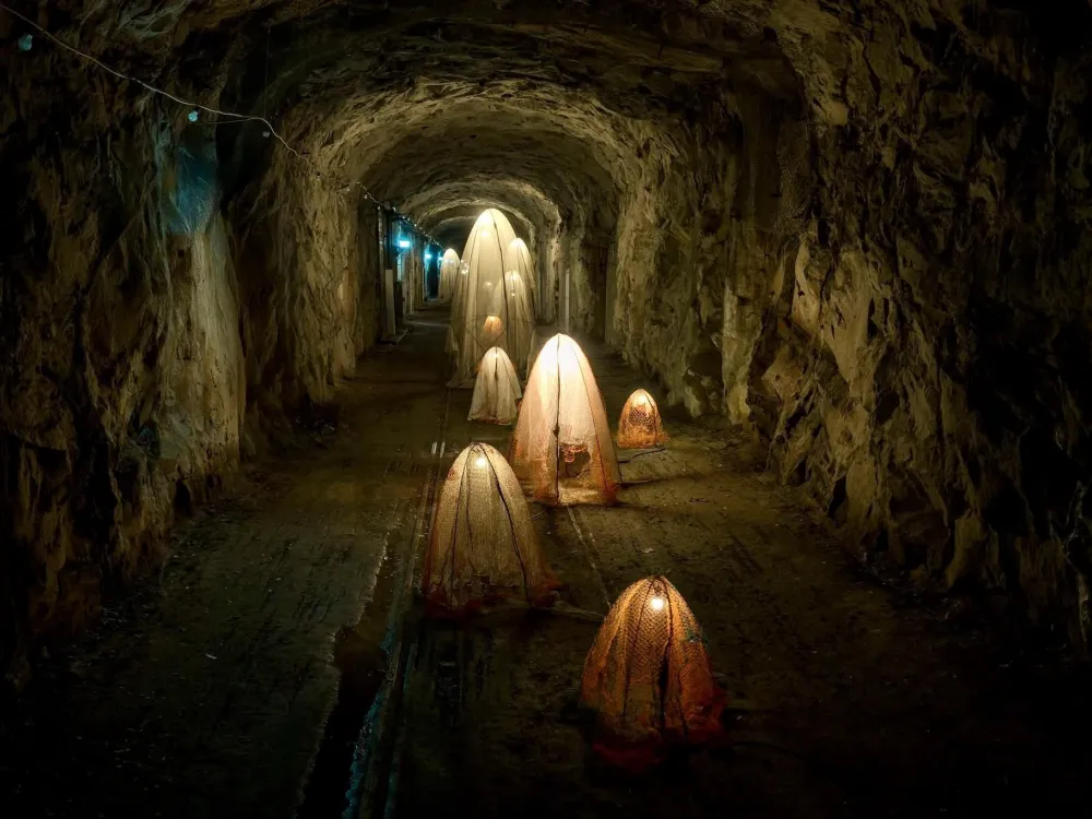 Upplev Underworld på egen hand