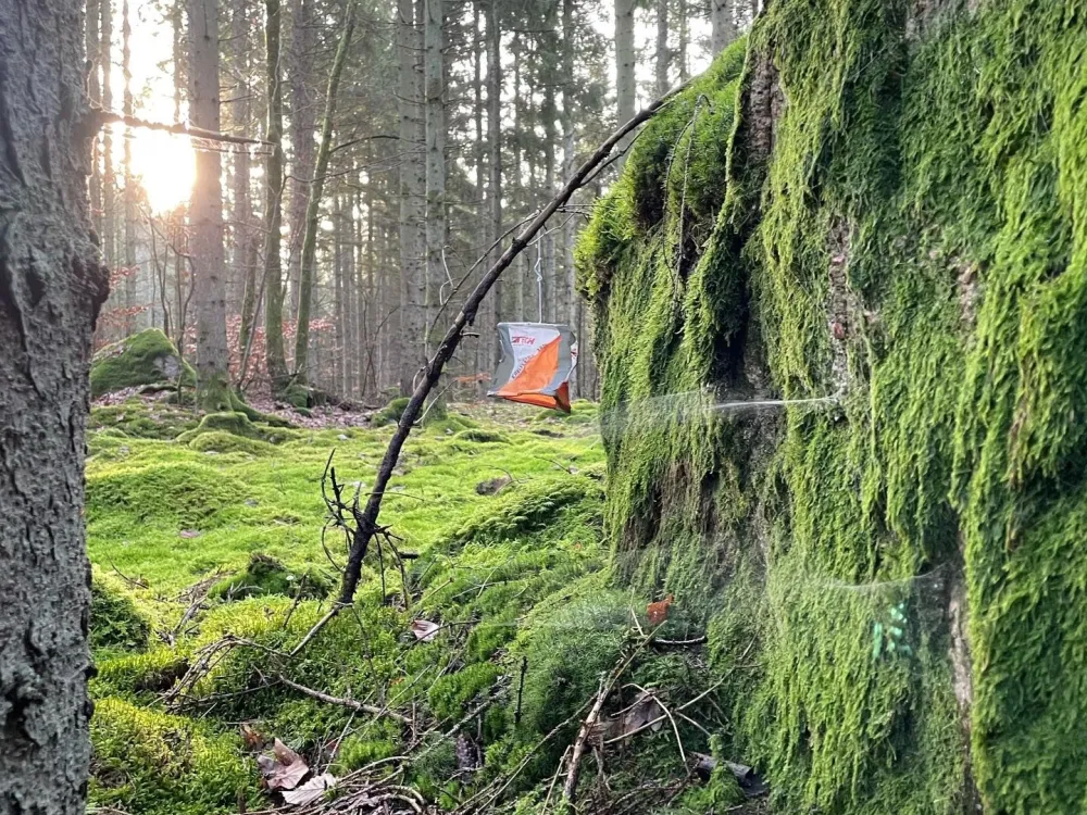  Jullovsbanor i Dragda