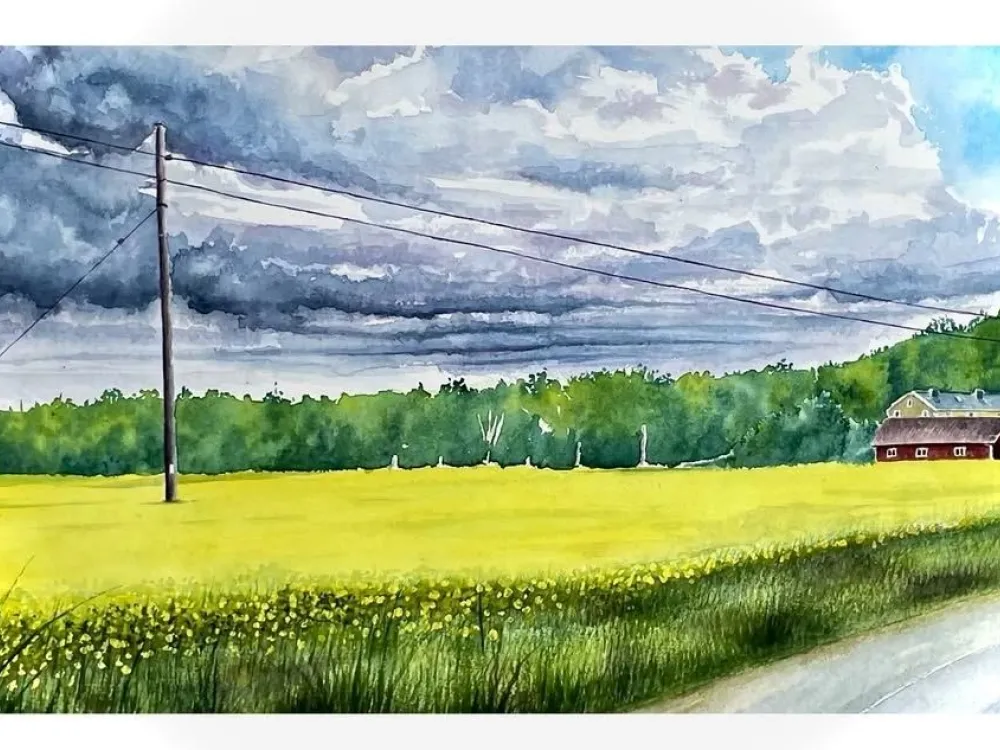 Blekinges landskap och natur - vernissage med Martin Svensson