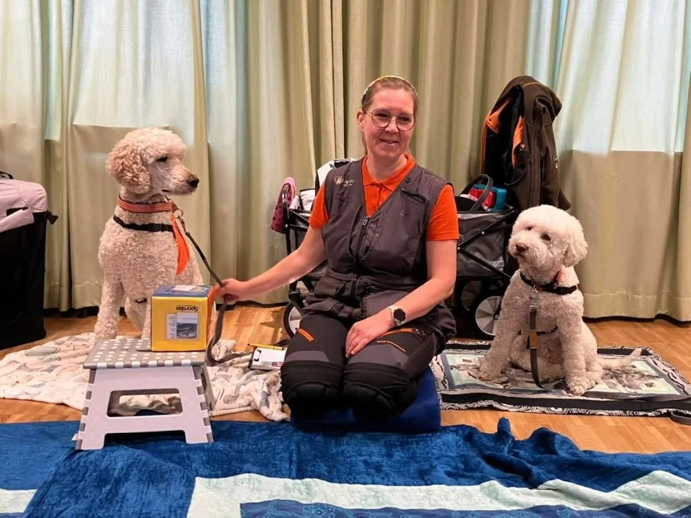 Sagomys med terapihund