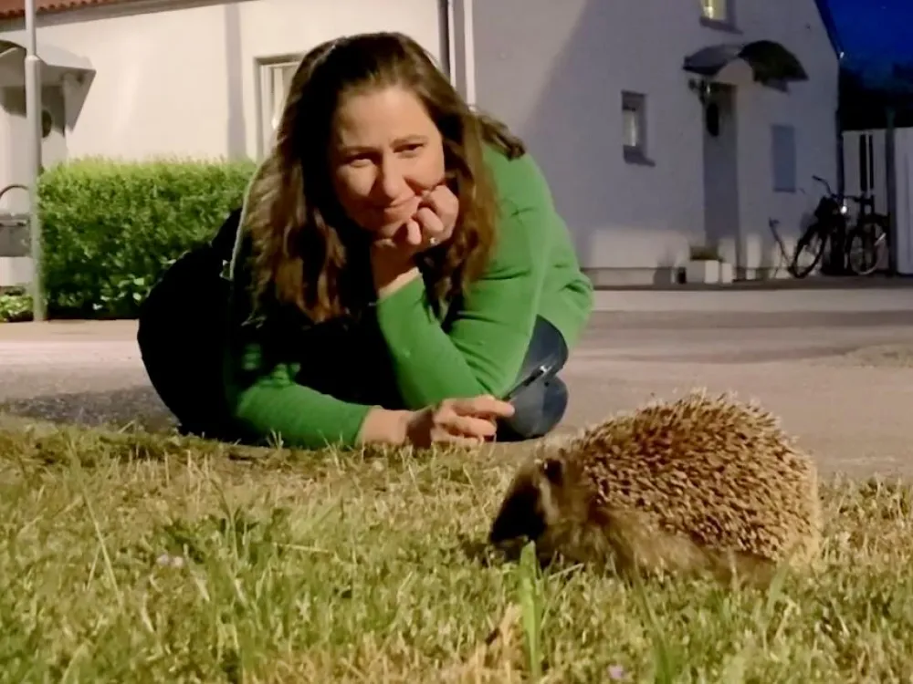 Marie Dacke: Igelkottens förunderliga liv