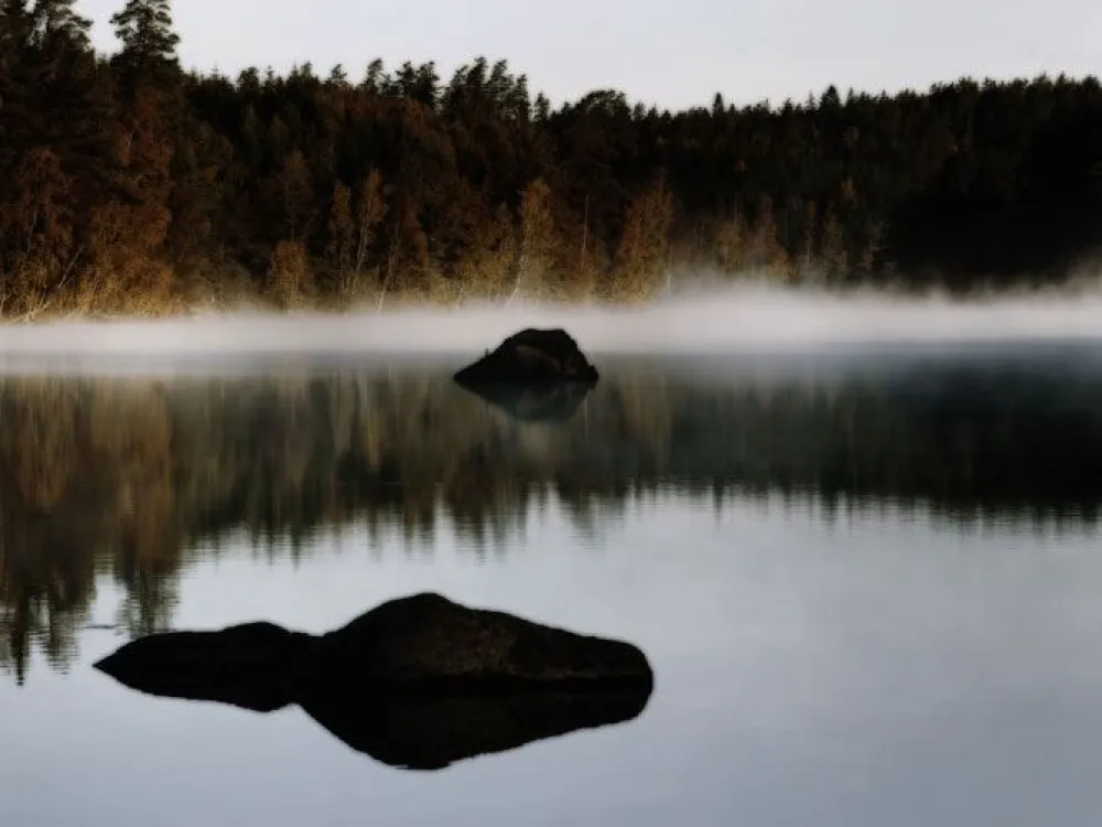 Naturreservat