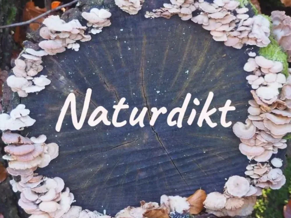 Naturdikt - Guided hikes