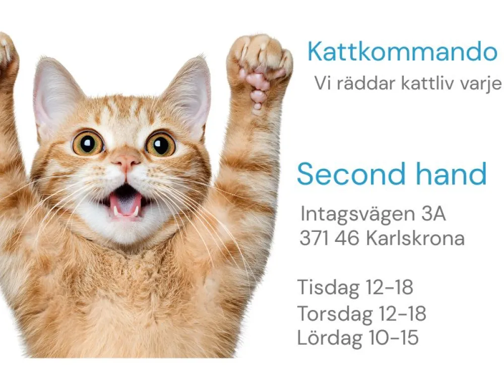 Kattkommando Syd Second Hand