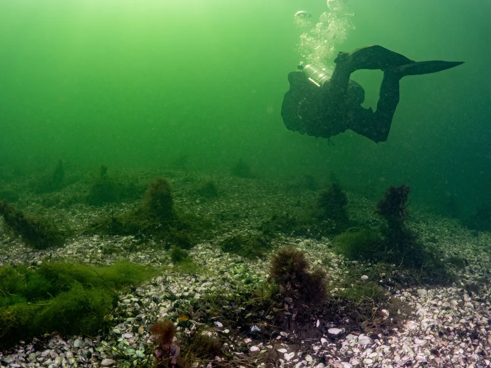 TISDAGSFÖREDRAG - BLEKINGES PÅLSPÄRRAR