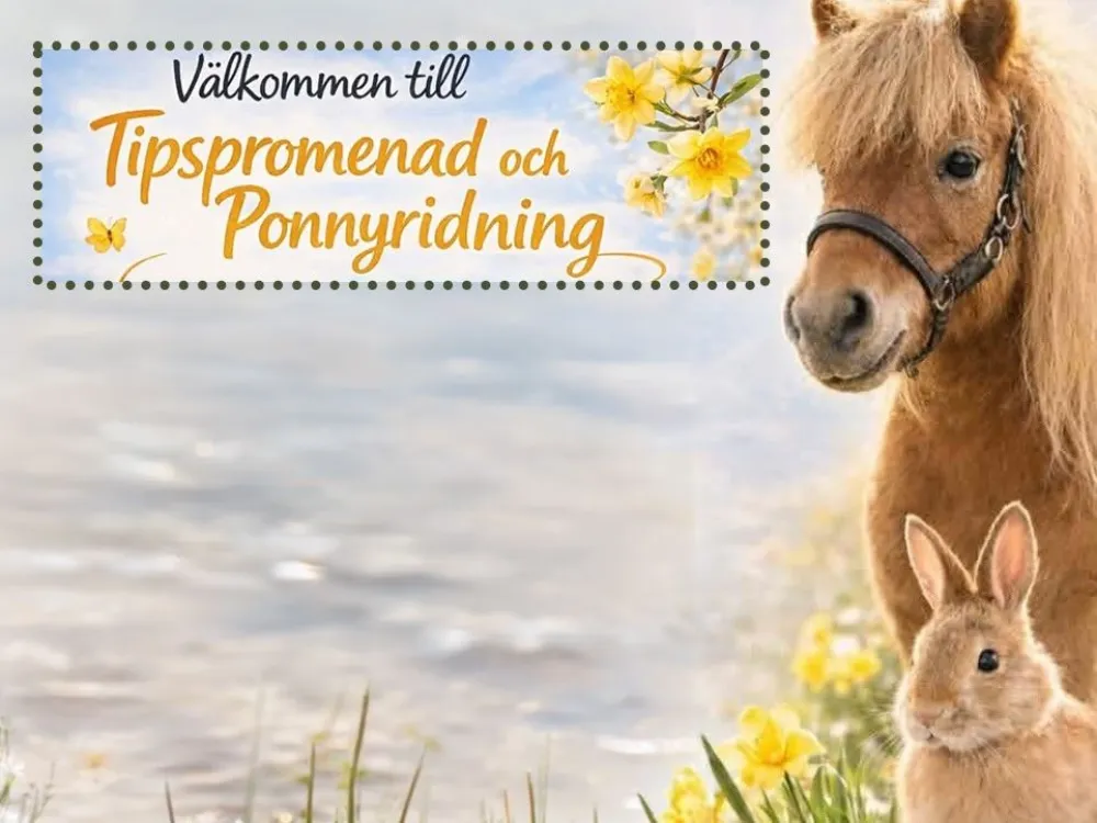 Quiz walk and pony rides