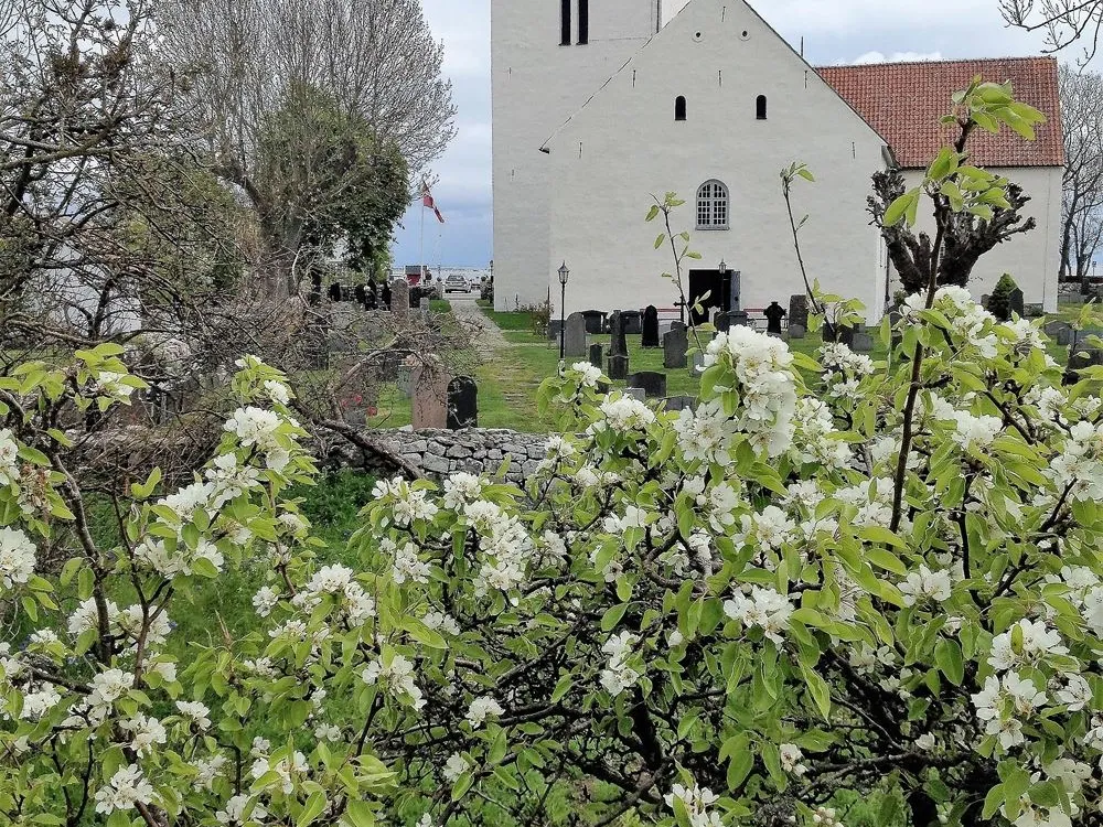 Guided Tour – Among Eel Fishermen, Coastal Customs Officers, and Ordinary People