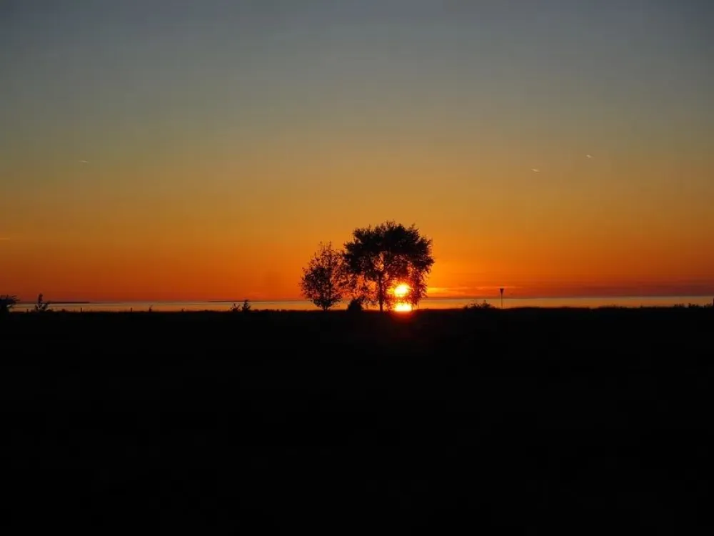 Naturdikt - Gryningsvandring till Torhamns Udde