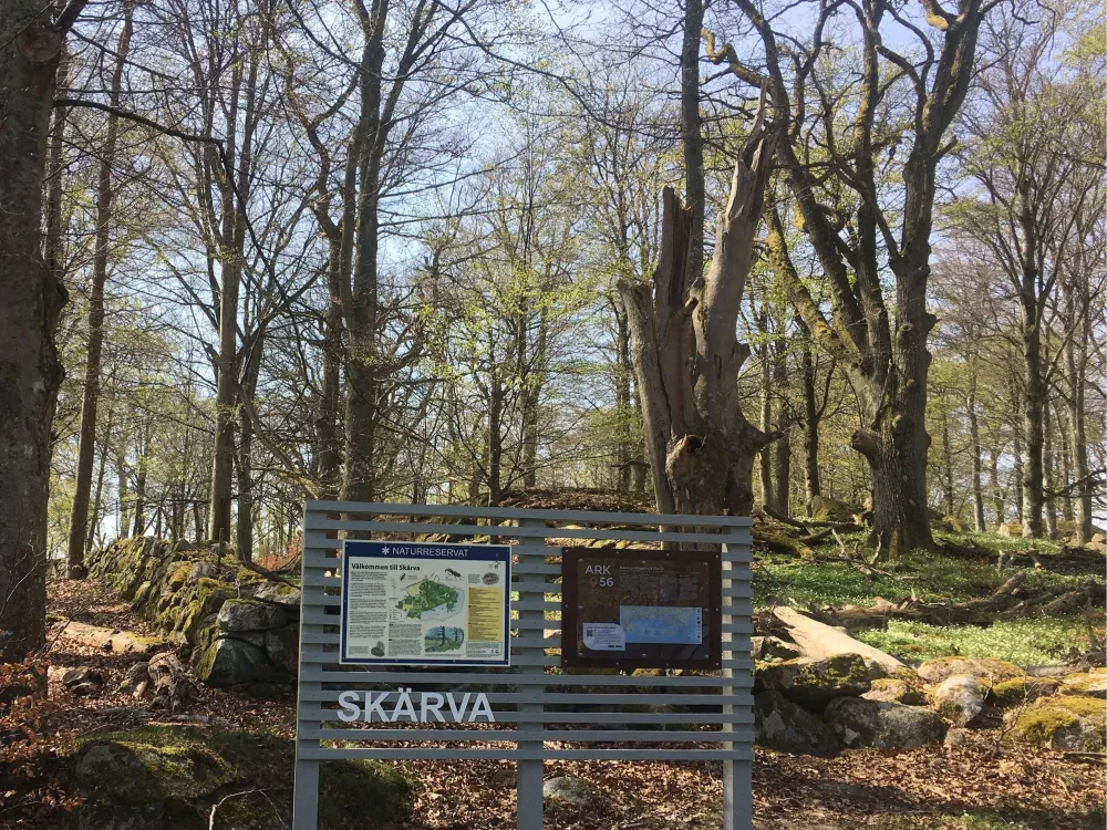 ÄlskaVår - Ekovegoservering & Trädgårdsvandring, Skärva Gård