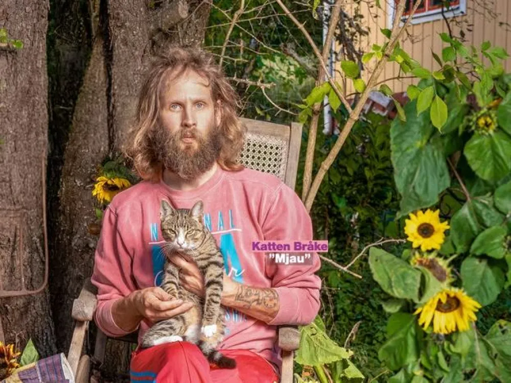 Henrik Nyblom - Kluven