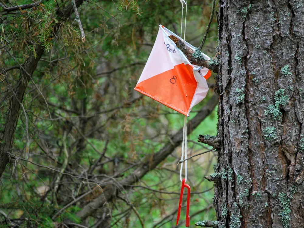 Orienteringstävling - Rödeby