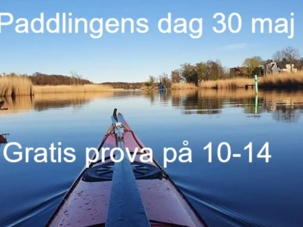 Paddlings dag
