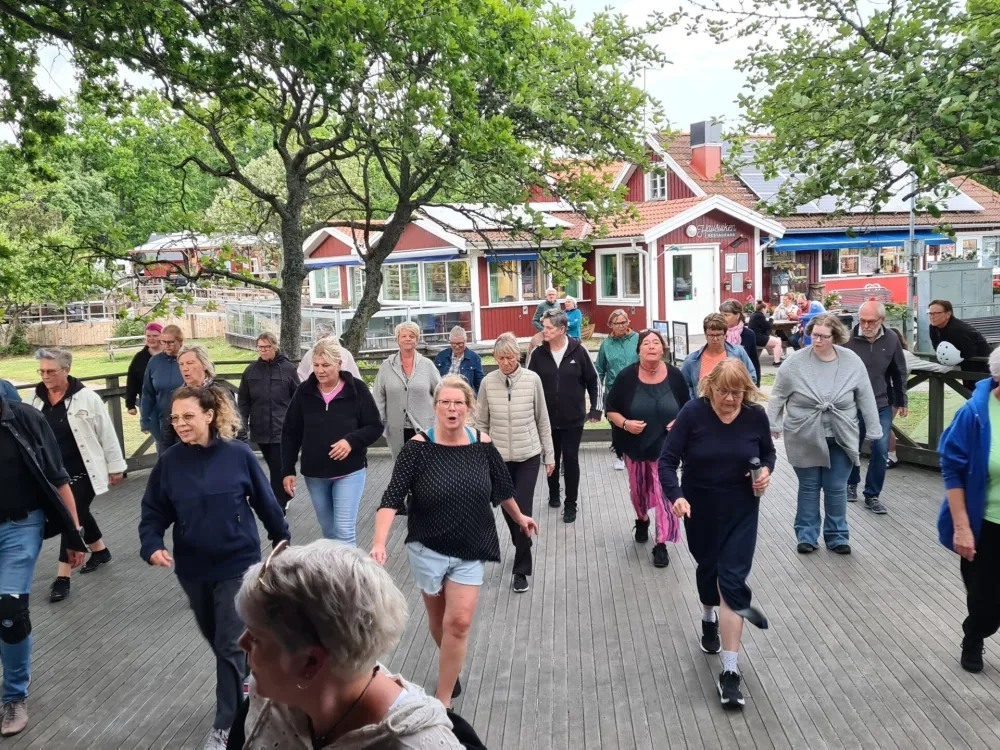 Hamboringens Linedance på Dragsö