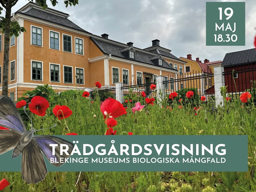TRÄDGÅRDSVISNING - Blekinge museums biologiska mångfald