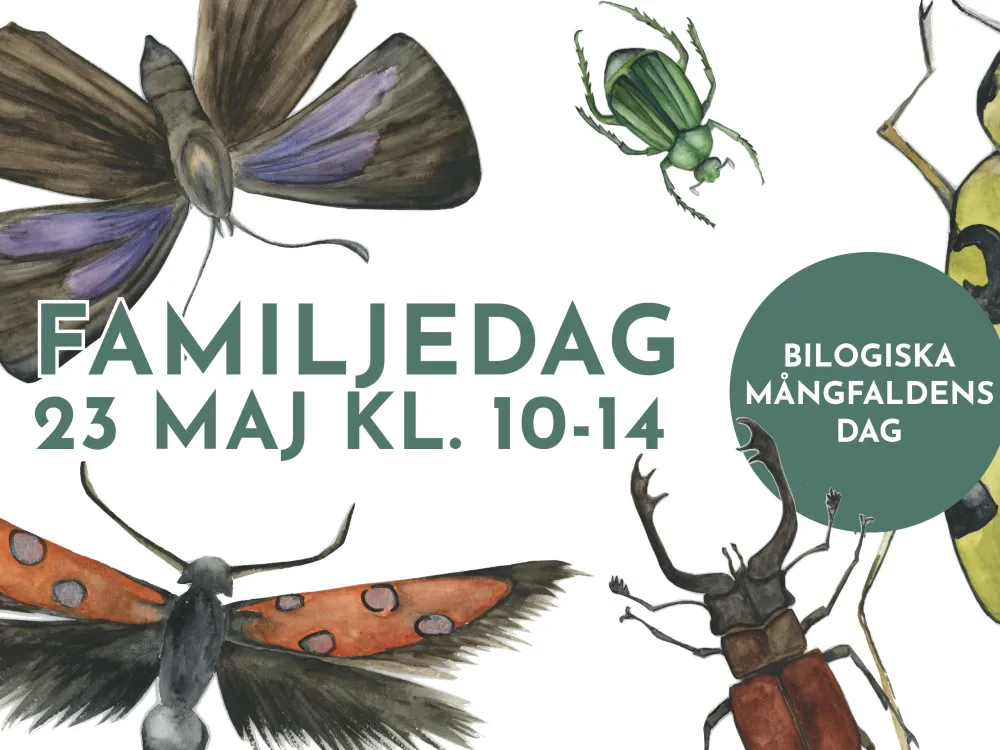 Biologiska mångfaldens dag