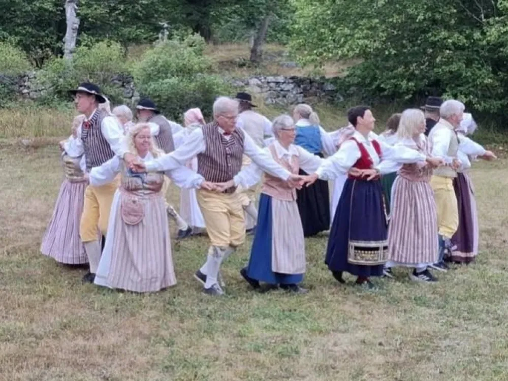 Hamboringens Folkdanslag i Fridlevstad