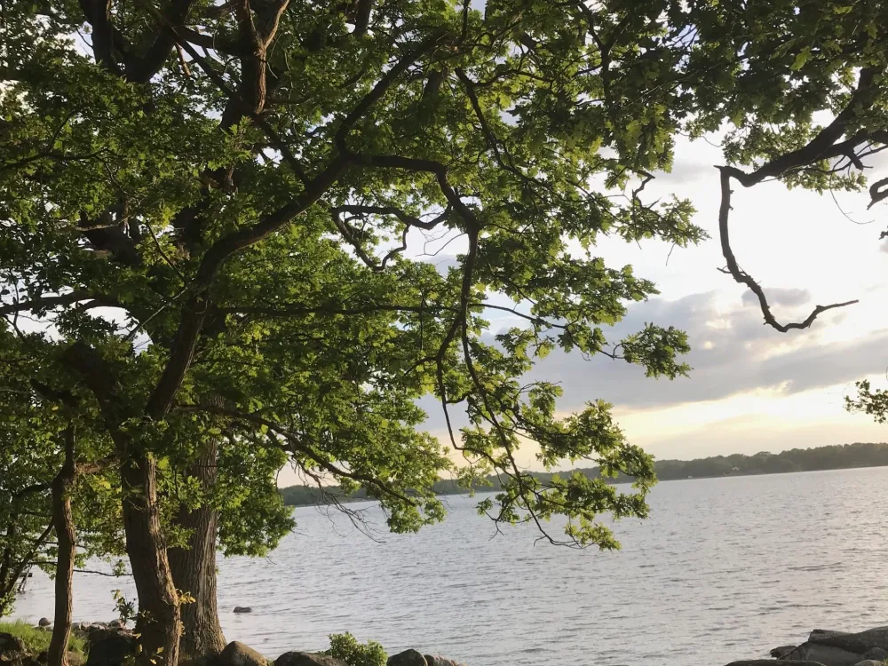 Skärgårdsvandring på Sturkö