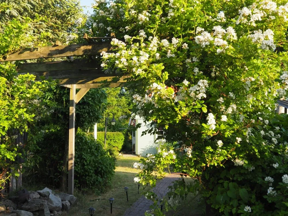 Trädgårdsvisning - Jämjö