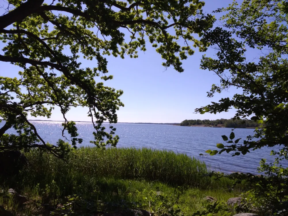 Naturvandring på Tromtö 