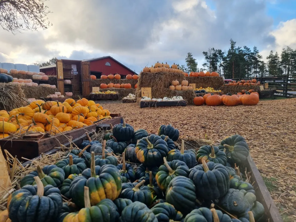 Farmshop - Helgarums lantbruk