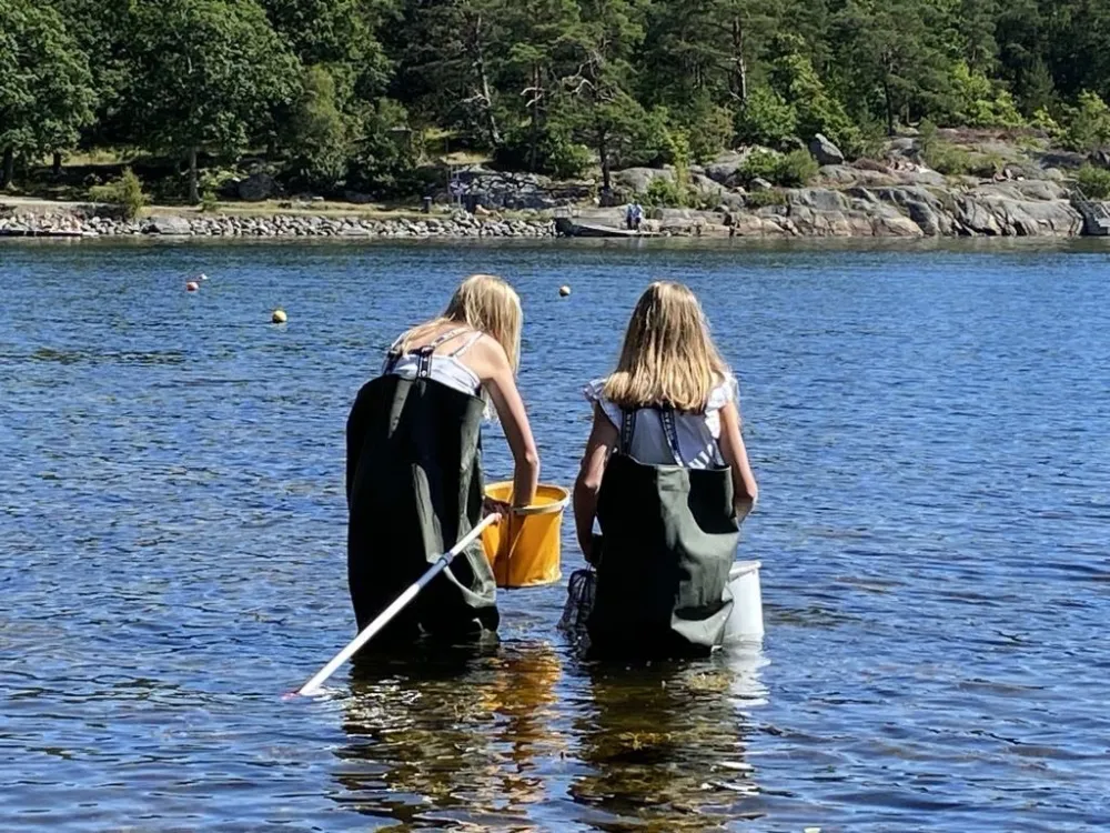 Flickor upptäcker havet