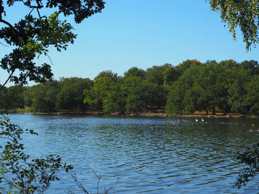 Morgonvandring på tyska i Skärva Naturreservat