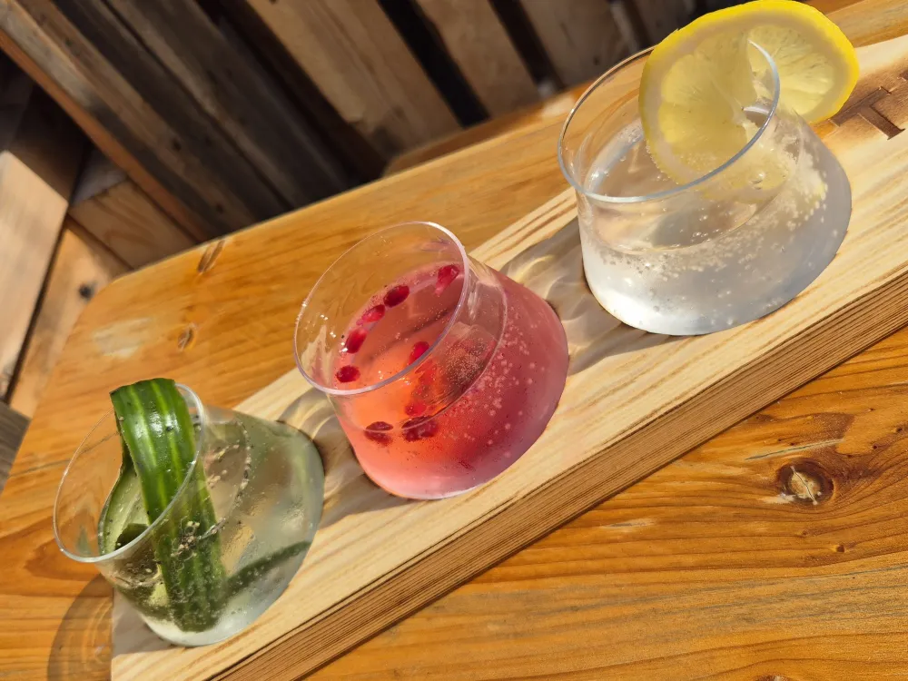 Ginprovning med Taste of Gin och gårdsförsäljning