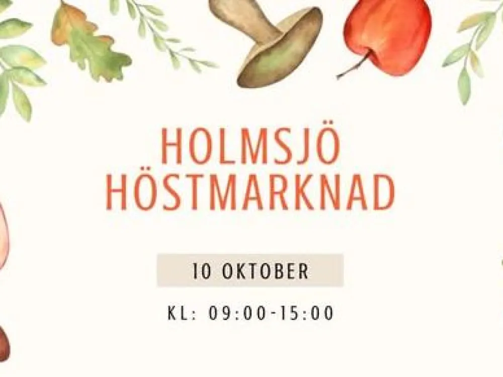 Holmsjö Höstmarknad