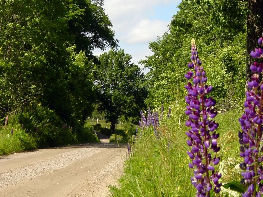 Bike Packages in Eastern Blekinge
