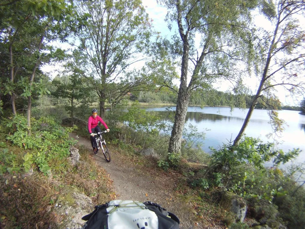 MTB cycling in the enchanted forest