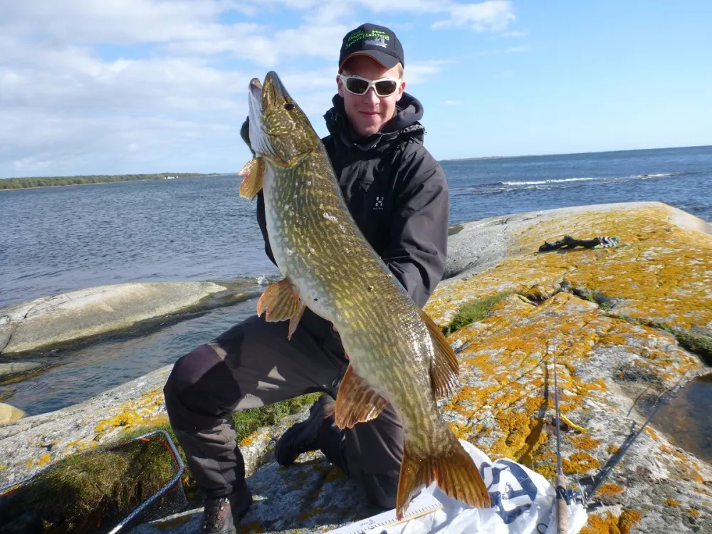 Sport fishing camp - Camp Dragsö Sportfishing