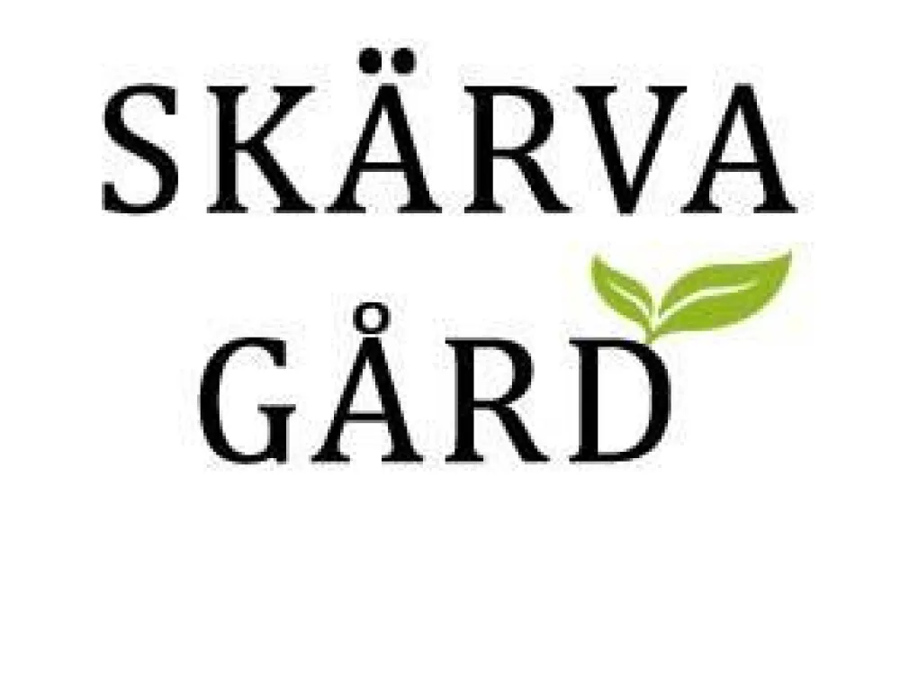 Galleri Skärva