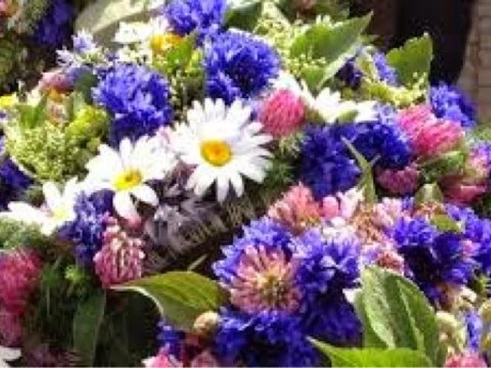 Midsommarstången kläs - gammaldags Lövmarknad