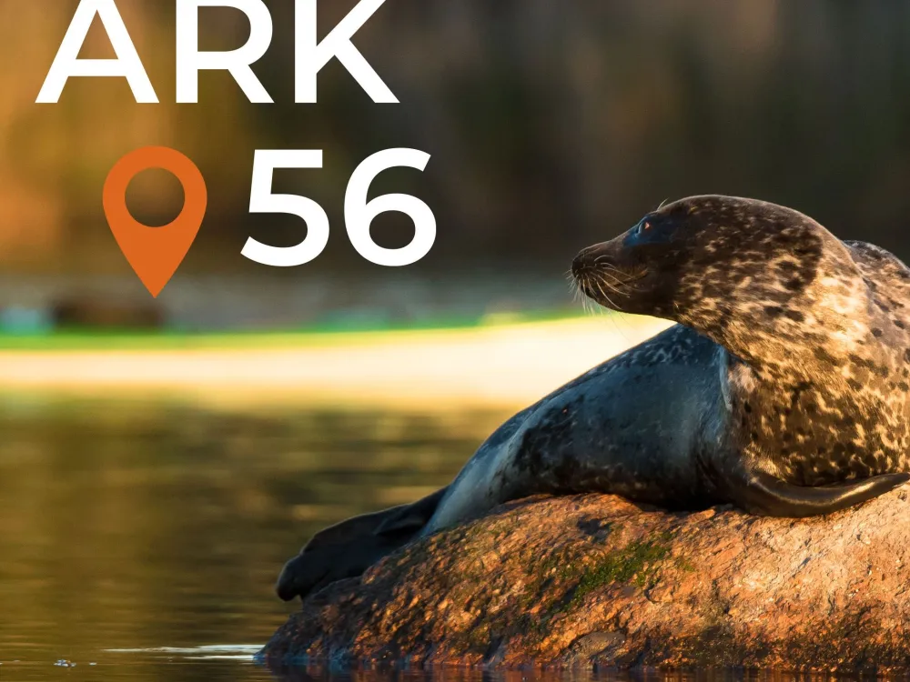 ARK56 - trails for kayaking, hiking, cycling and sailing