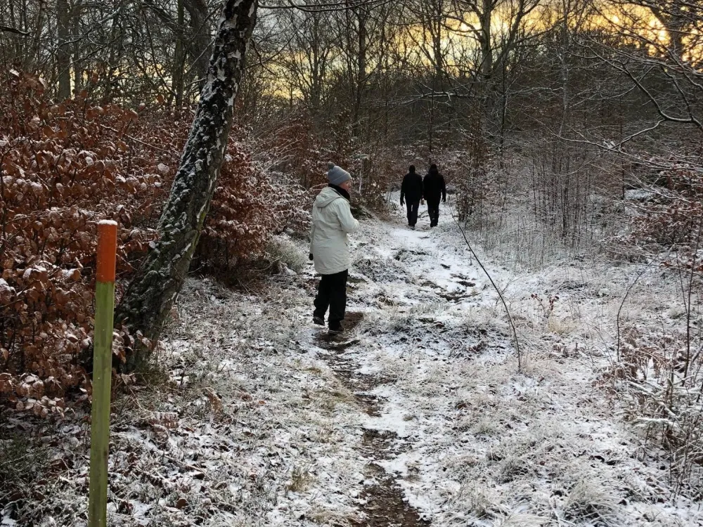 Vintervandring Skärvaleden