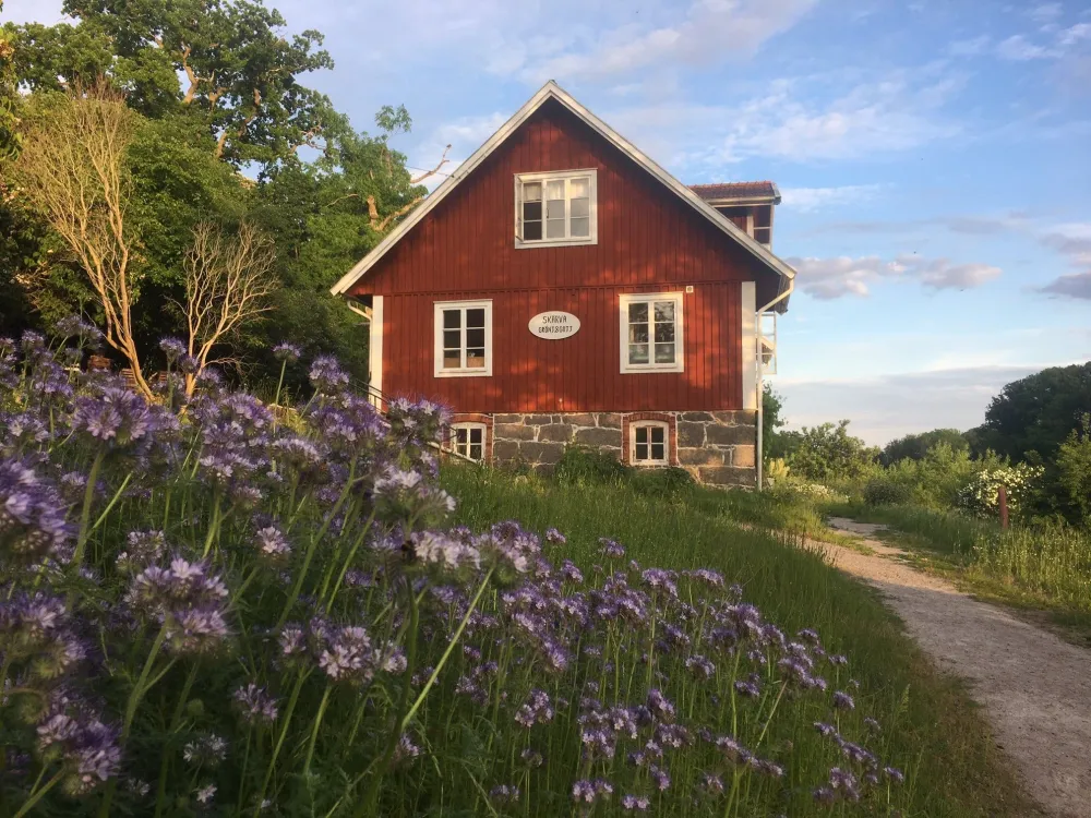 Skärva gård Skärva gård sommarcafe